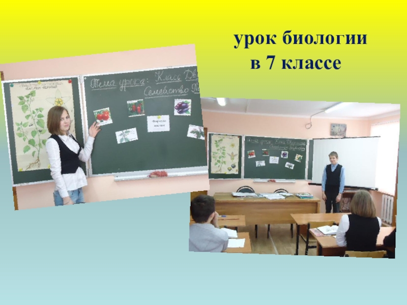 В каком классе начинают. Урок биологии 7 класс. Открытый урок биологии. Слайд урок биологии. Проекты на уроках биологии.