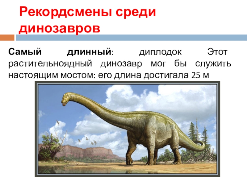 Опиши динозавра. Травоядные динозавры Диплодок. Древние пресмыкающиеся Диплодок. Самый большой динозавр Диплодок. Высота диплодока динозавра.