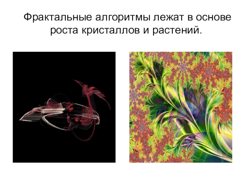 Фрактальное сжатие. Алгоритм фрактал. Фрактальной сжатие алгоритм. Фрактальное сжатие. Фрактальный алгоритм.