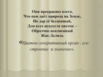 Презентация по биологии 6 классЦветок