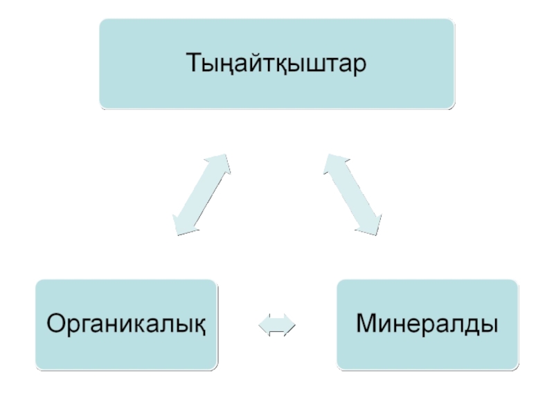 Минералды тыңайтқыштар презентация