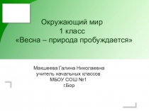 Презентация по окружающему миру на тему: Весна - природа пробуждается (1 класс)