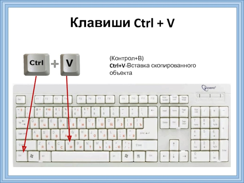 С помощью какой клавиши можно вставить