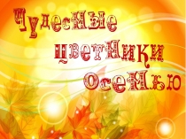 Презентация по окружающему миру Чудесные цветники осенью (2 класс)