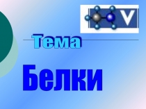 Презентация по химии на тему Белки