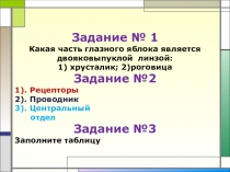 Презентация по биологии 8 класс на тему Слуховой анализатор