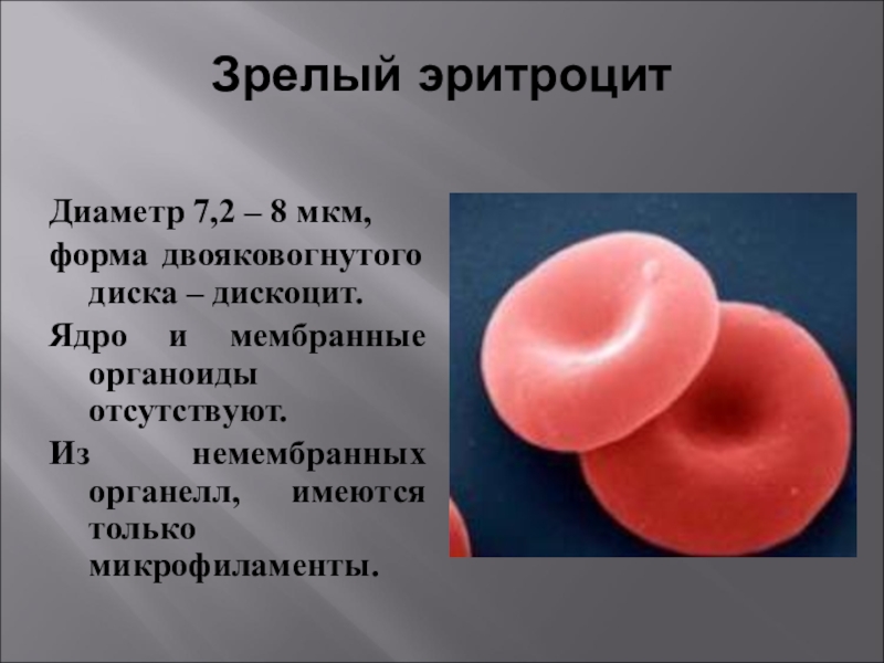 Что такое эритроциты. Диаметр эритроцитов 7.2 мкм. Зрелые эритроциты. Зрелый эритроцит человека. Зрелые формы эритроцитов.