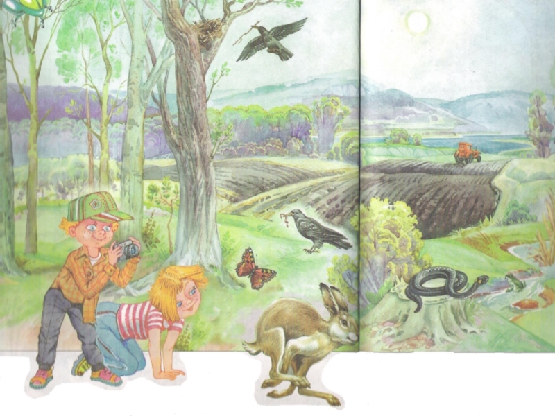 Сказка о жизни животных весной. Животные весной для детей. Звери весной в лесу. Иллюстрация животные весной.