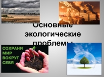 Презентация по биологии на тему Экологические проблемы