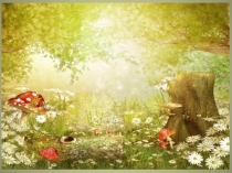 Презентация по биологии на тему Грибы 5 класс