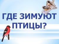 Где зимуют птицы 1 класс окружающий мир школа россии презентация и конспект