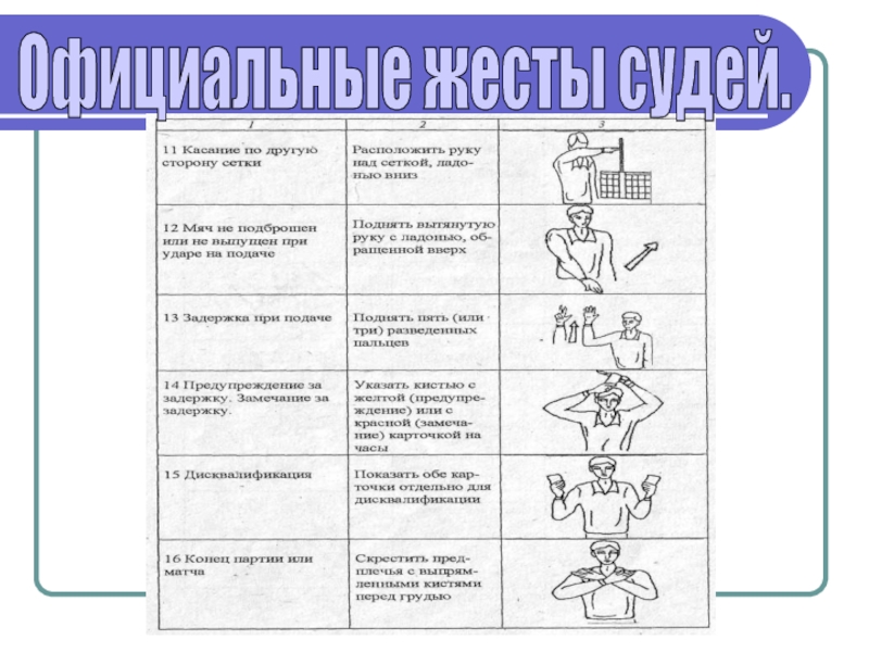 Жесты судьи в волейболе. Жесты судей по волейболу в картинках. Жесты судей в гимнастике. Жесты судьи в пионерболе. Жесты судей по волейболу, с картинками и описанием.