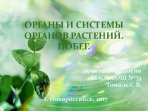 Презентация по биологии на тему Органы и системы органов растений. Побег (6 класс) УМК Сфера