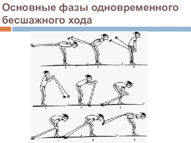 Основного хода. Одновременный бесшажный лыжный ход техника. Одновременный бесшажный ход фазы. Техника выполнения одновременного бесшажного хода. Фазы одновременно бесшажного хода.