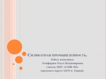 Презентация по химии на тему Силикатная промышленность