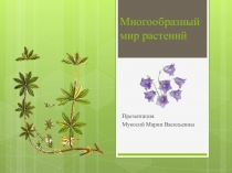 Презентация по окружающему миру на тему: Многообразный мир растений (2 класс)