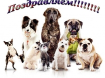 Презентация по окружающему миру День кинолога