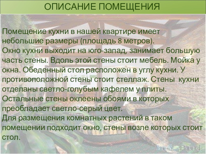 Сочинение описание план 6 класс