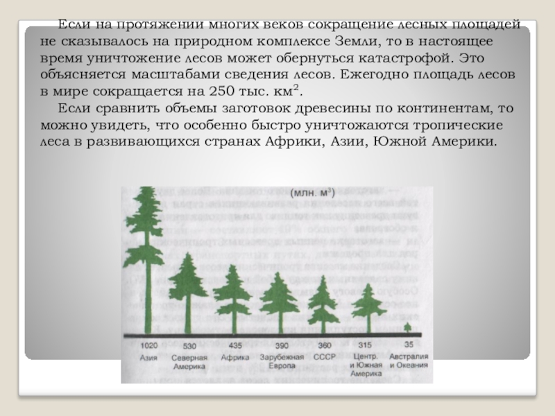 Стопка бревен. Древесина в тайге. На протяжении многих веков из леса. Спиленное дерево. На протяжении многих веков из леса.