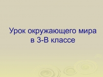 Презентация по окружающему миру Экономика. Какая бывает промышленность