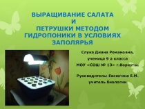 Презентация по теме Выращивание растений методом гидропоники