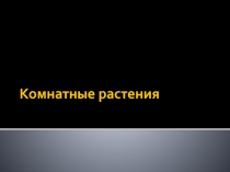 Презентация по теме Комнатные растения к курсу Цветоводство