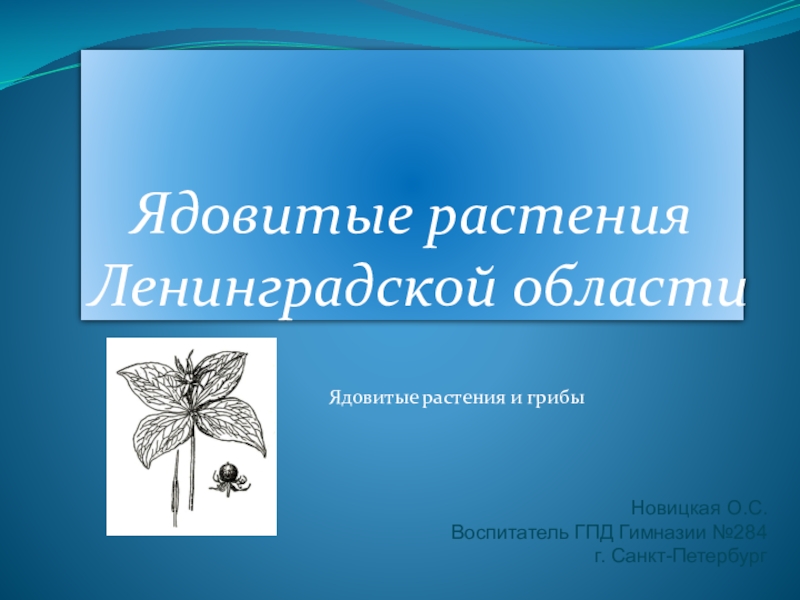 Презентация Презентация по окружающему миру Ядовитые растения Ленинградской области
