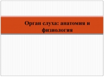 Орган слуха: анатомия и физиология