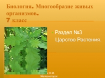 Презентация по биологии на тему Общая характеристика растений