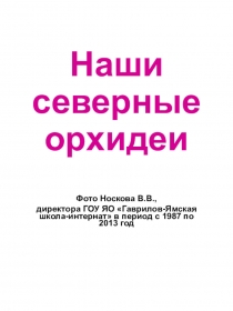 Презентация по биологии Наши северные орхидеи