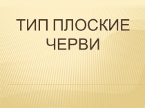 Презентация: тип Плоские черви