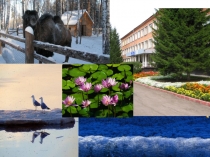 Презентация по биологии на тему Реализация регионального компонента на уроках биологии