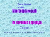 Презентация по биологии на тему Многообразие рыб