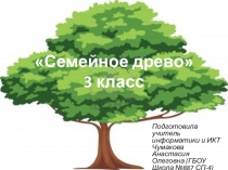 Презентация к уроку информатики на тему Семейное древо (3 класс)
