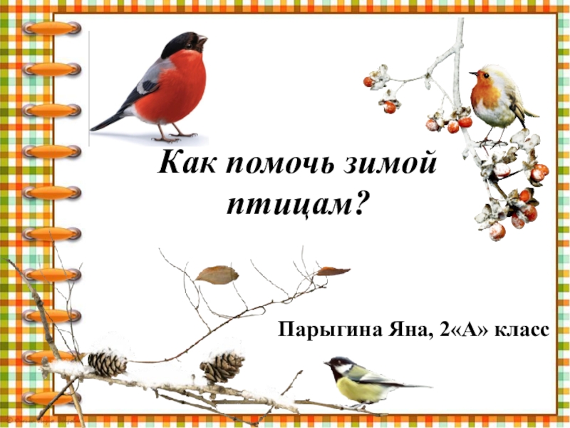 Презентация птицы зимой 1 класс. Проект как помочь птицам зимой. Проект как помочь птицам. Как помочь птицам зимой 2 класс. Проект помоги птицам 2 класс.