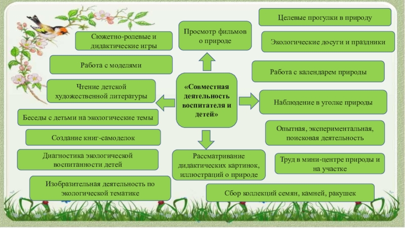 Экология средняя. Диагностика экологической воспитанности дошкольников. Диагностика выявления экологической воспитанности. Критерии диагностики экологического воспитания дошкольников. Диагностика экологической воспитанности детей дошкольного возраста.