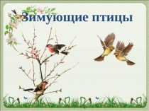Презентация для дошкольников на тему Зимующие птицы