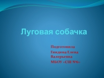 Презентация по окружающему миру 3 класс Луговая собачка