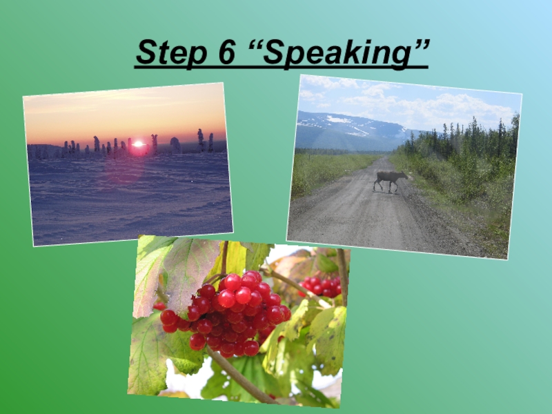 Step 6 “Speaking”