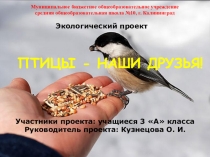 Презентация экологического проектаПтицы-наши друзья(2 класс).