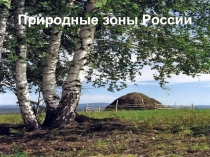Природные зоны России.