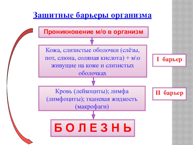 Борьба организма с инфекцией. Защитные барьеры организма: кожа и слизистые оболочки.. Борьба организма с инфекцией иммунитет. Борьба организма с инфекцией иммунитет 8 класс.