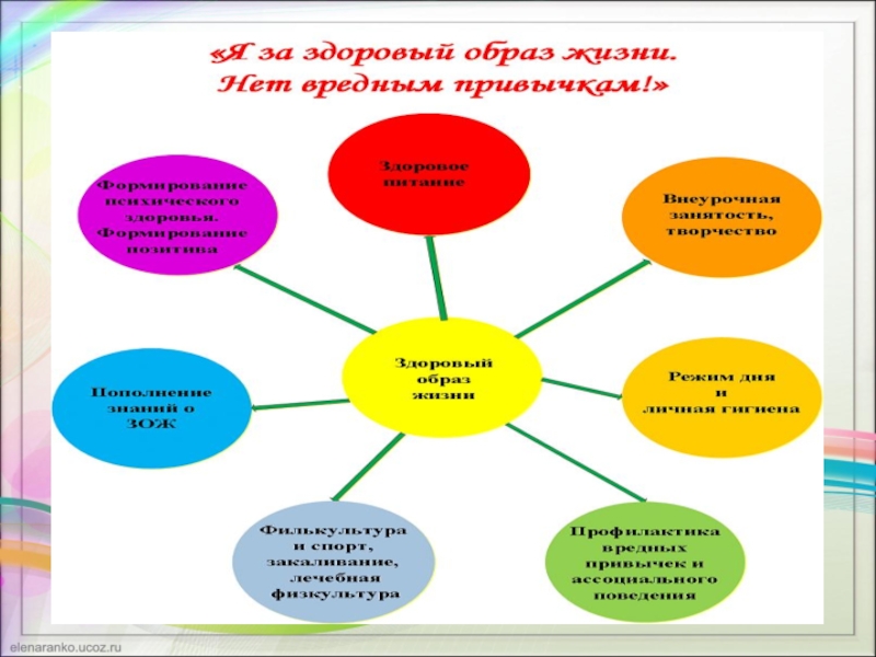 Проект коррекция агрессивного поведения младших школьников