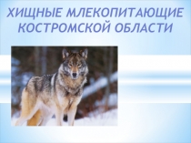 Презентация Хищники Костромской области