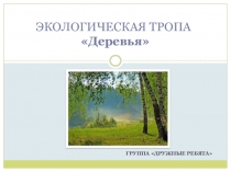 Презентация для детей старшей группыЭкологическая тропа Деревья