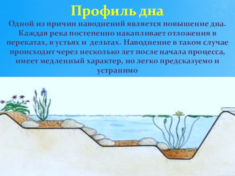 Каждая река. Профиль дна. Профиль дна наводнение. Поднятие дна. Поднятие дна наводнение.