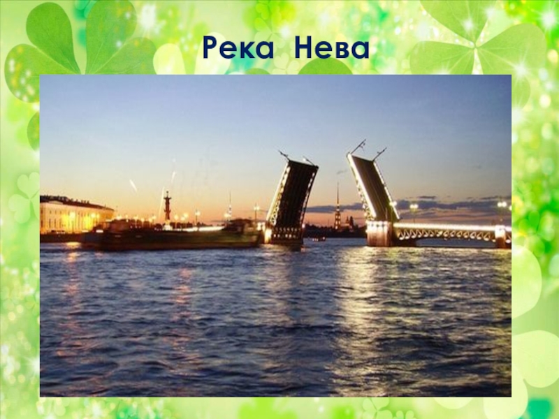 Все о реке неве