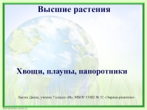 Хвощи, папоротники, плауны