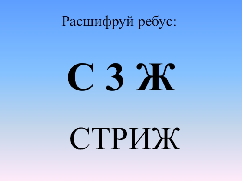 Расшифруй ребус. Расшифруй ребусы. Ребус Стриж. Математические ребусы стиж. Ребус с3ж.