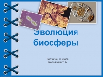 Презентация к уроку биологии 10 класс Физико-химическая эволюция в биосфере